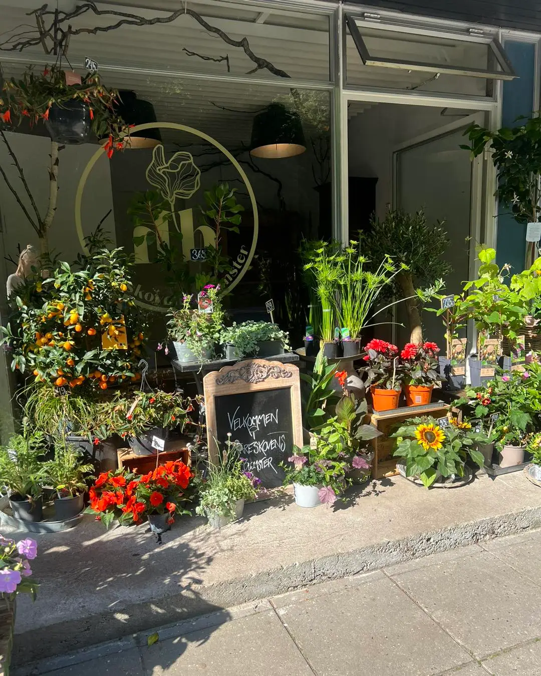 Indgangen til Hareskovens Blomster med planter og blomster foran