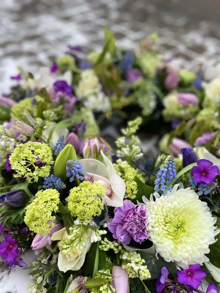 Nærbillede af lilla og lysegrønne blomster
