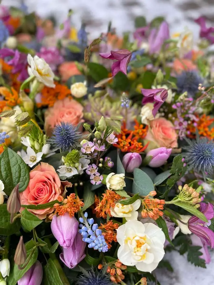 Nærbillede af orange og blå blomster